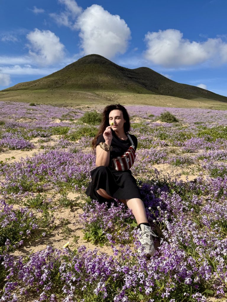 decoratrice d'intérieur vienne noémie abrial mariposa design intérieur decorateur interieur vienne architecte airbnb booking